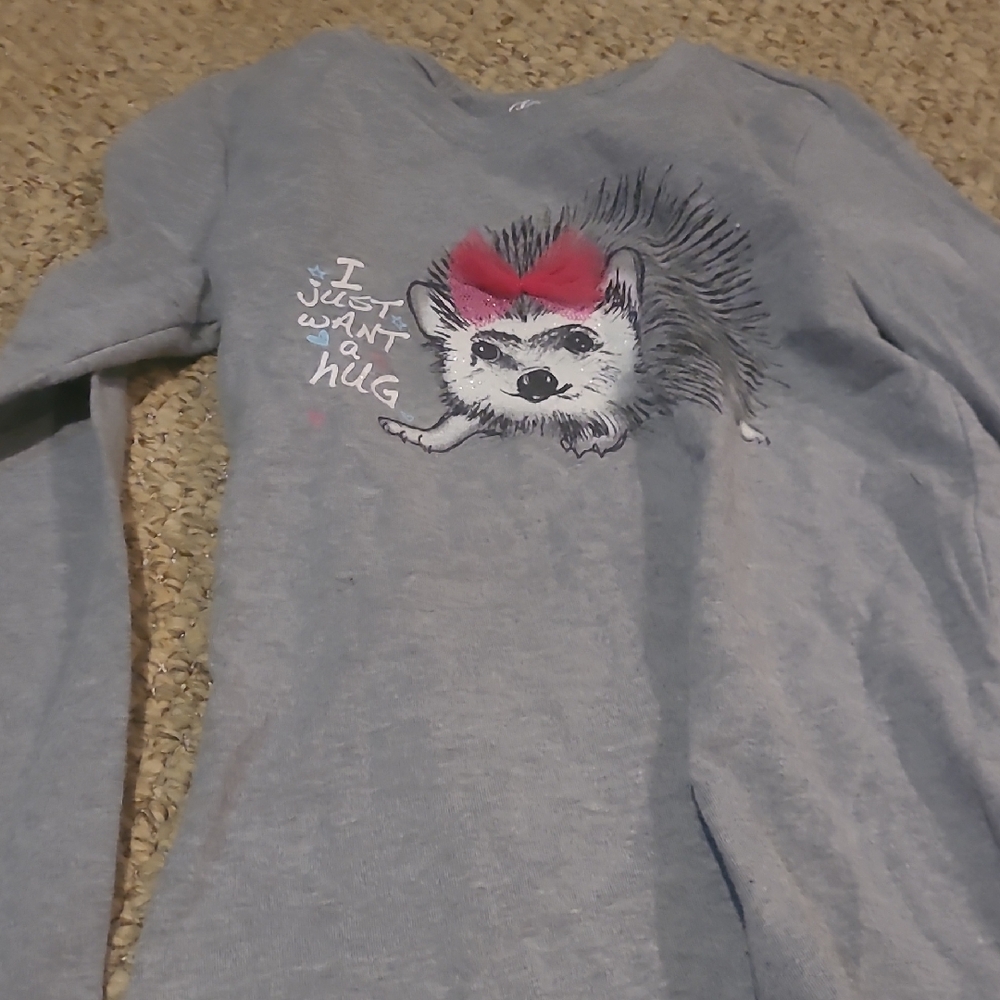 Gray Kids Shirt with Hedgehog Print